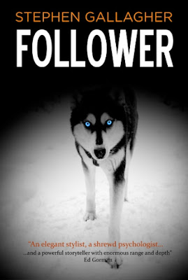 Paperback cover for Follower, shows a stalkin wolf with piercing blue eyes. It's actually a husky but you get the idea