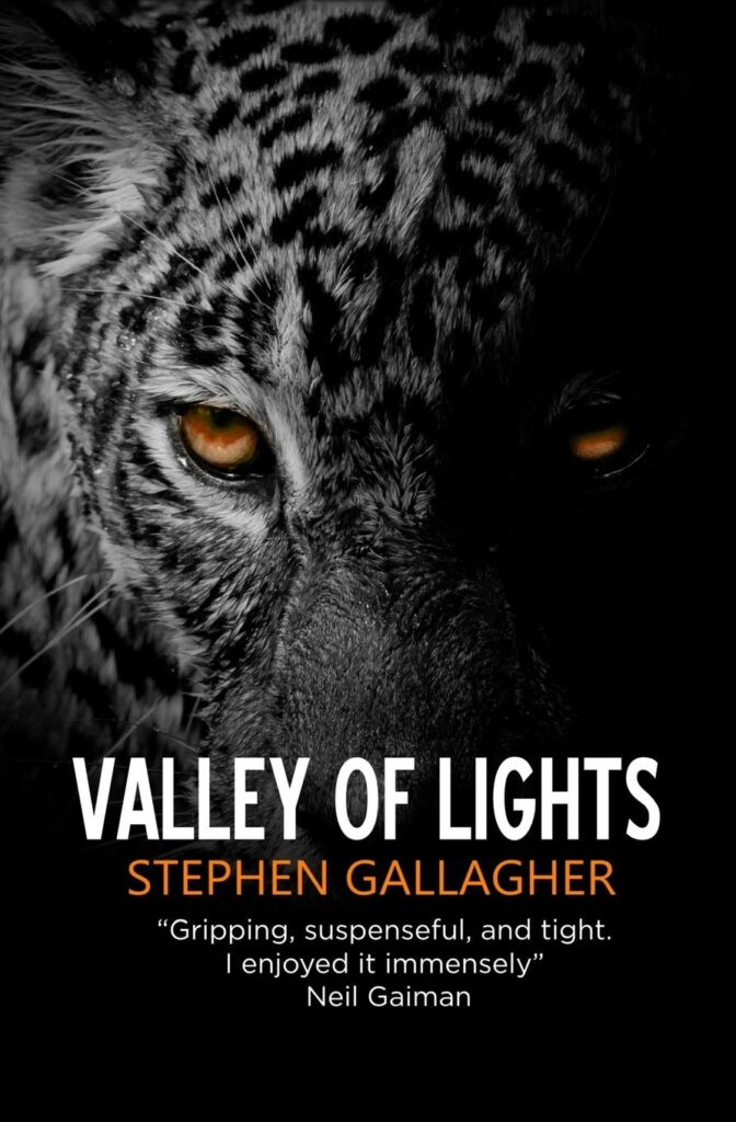 Paperback cover for Valley of Lights, shows a baleful stare from a leopard in the shadows, symbolising the novel's ageless preedator